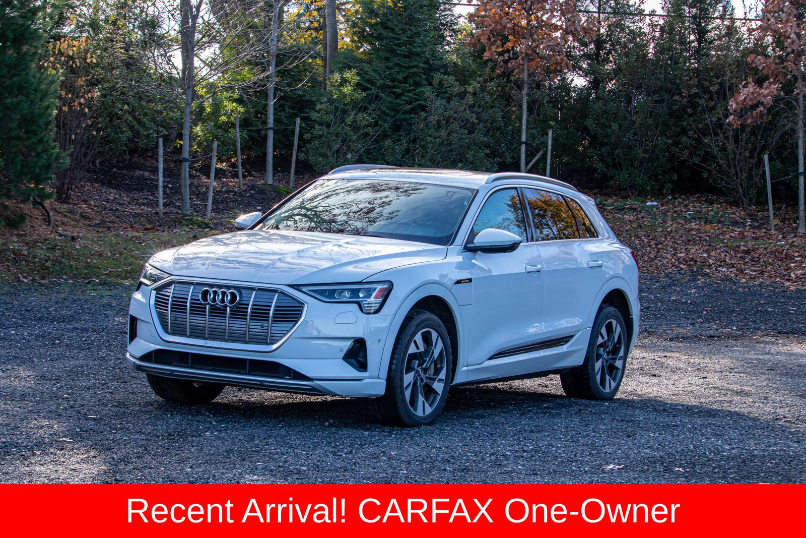 2021 Audi e-tron Premium Plus's photo