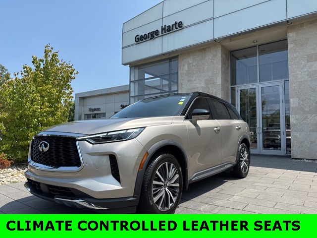 2022 Infiniti QX60 Autograph photo 3