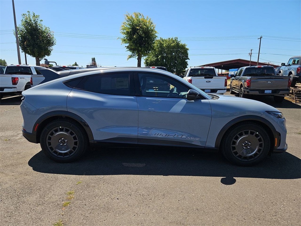 2025 Ford Mustang Mach-E GT photo 6