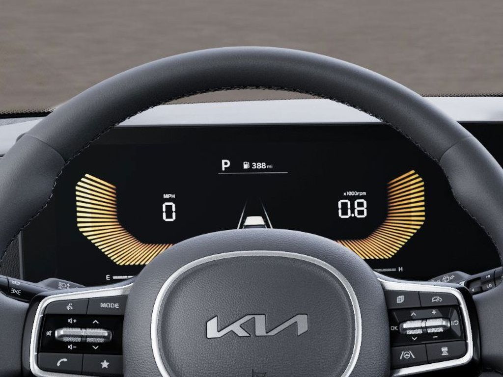 2025 Kia Carnival LXS photo 20