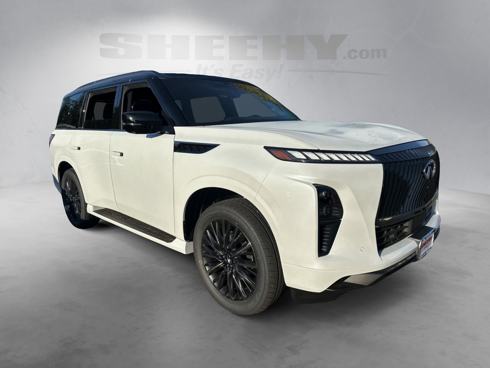 2026 Infiniti QX80 photo 2