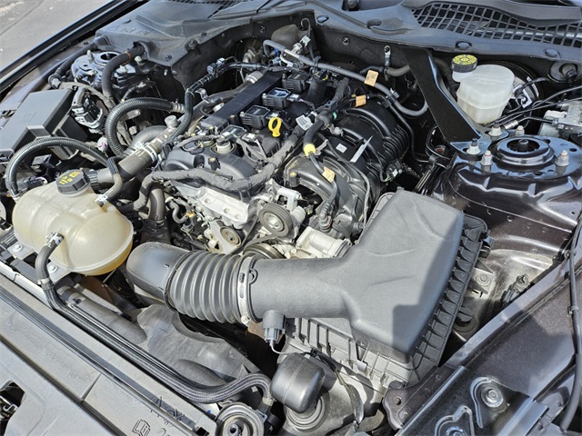 2023 Ford Mustang EcoBoost Premium photo 15