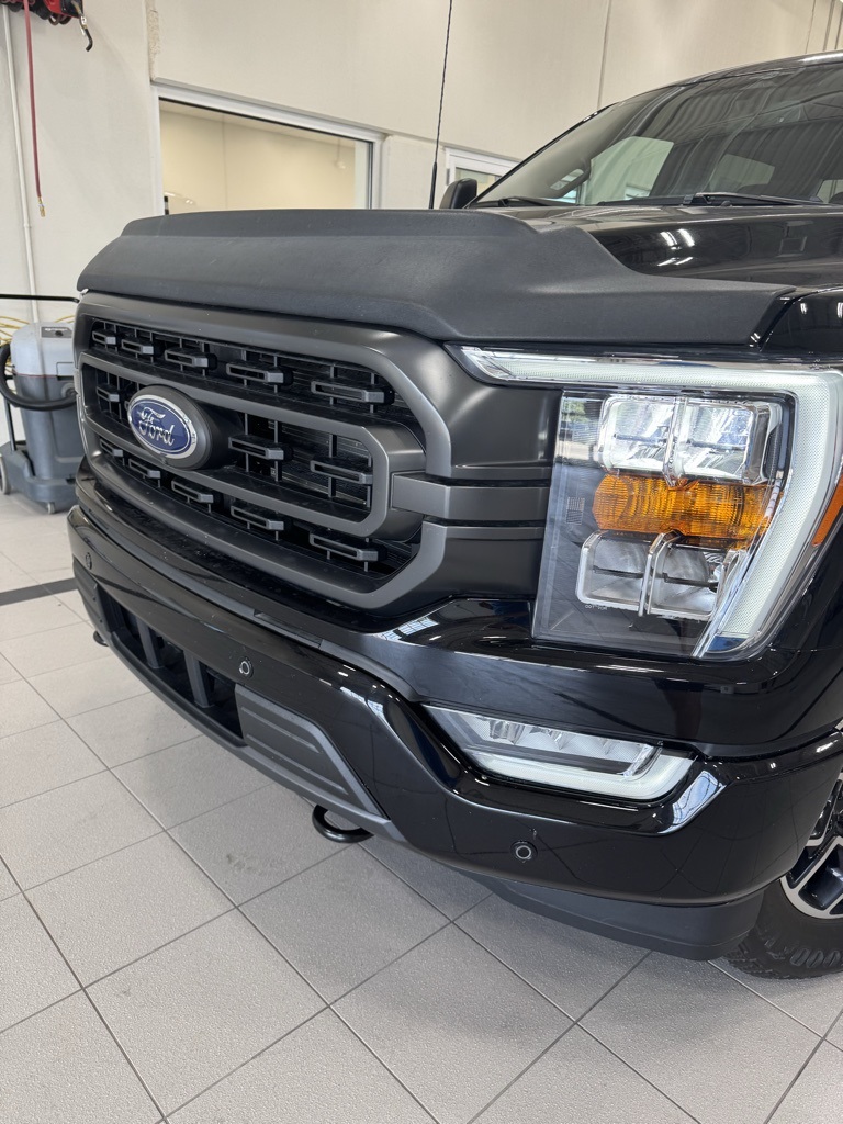 2023 Ford F-150 XLT photo 6