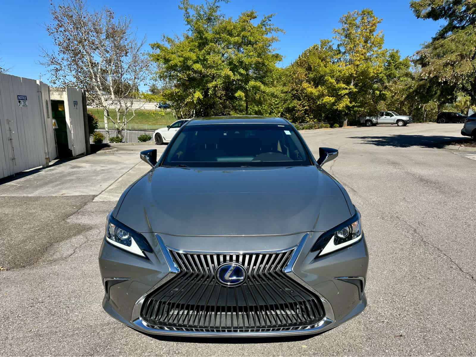 2019 Lexus ES Luxury photo 2