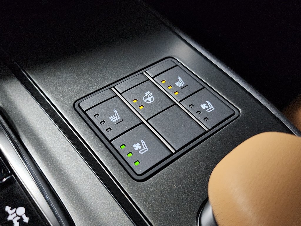 2025 Lexus UX photo 19