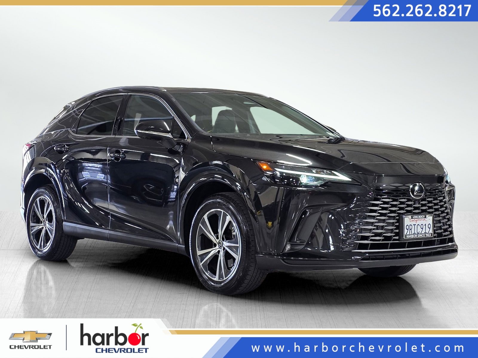 2025 Lexus RX 350's photo