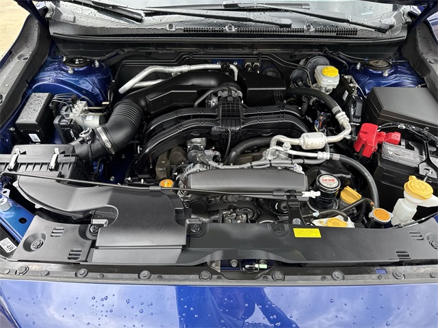 2024 Subaru Crosstrek Wilderness photo 20