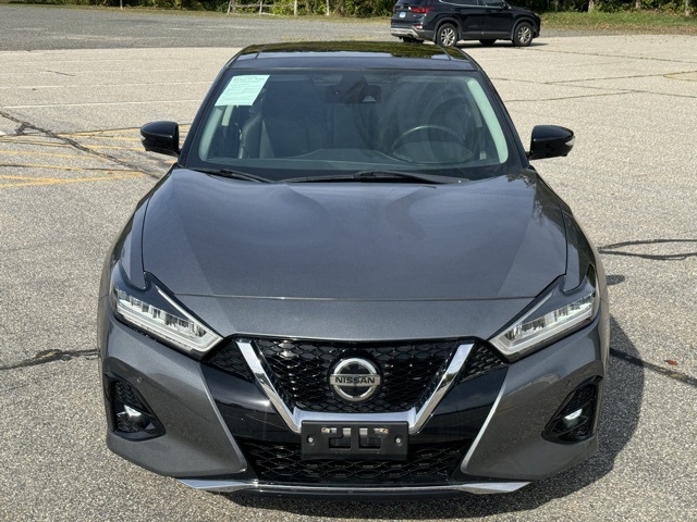 2019 Nissan Maxima Platinum photo 2