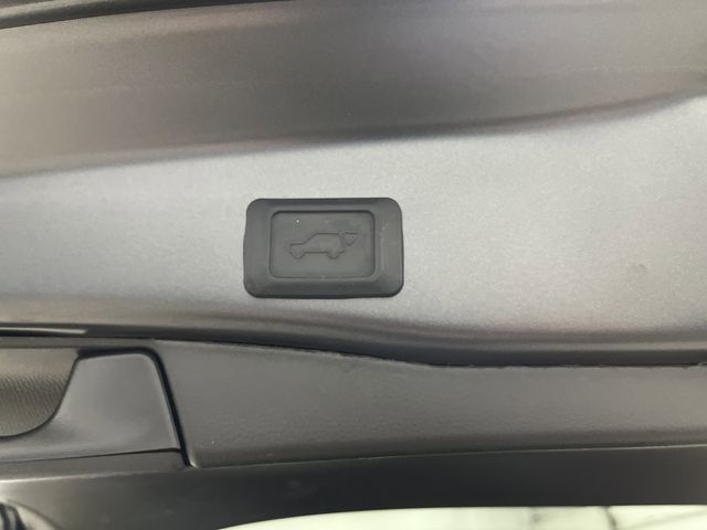2024 Toyota RAV4 XLE photo 13