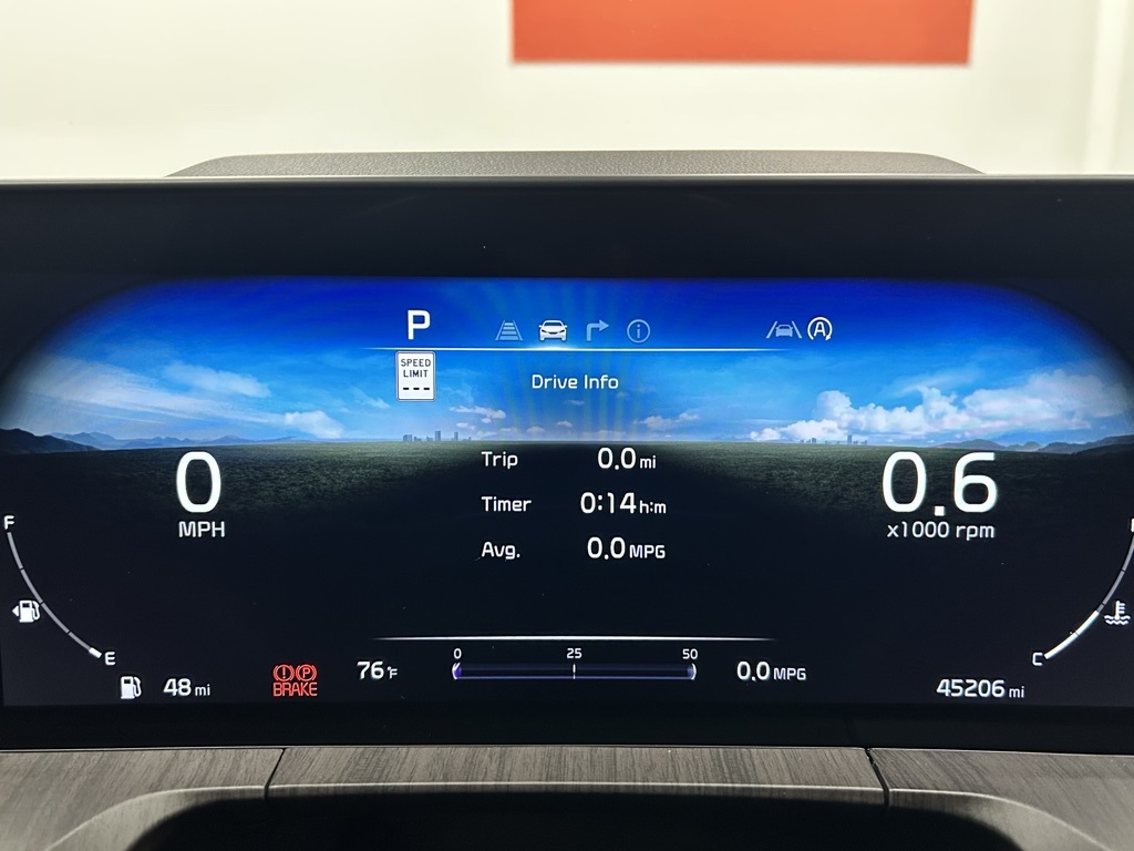 2024 Kia Telluride SX photo 15