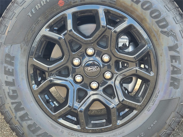 2025 Ford F-150 XLT photo 10
