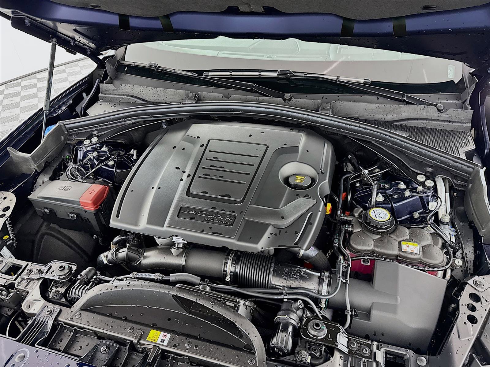 2026 Jaguar F-PACE P250 R-Dynamic S photo 27