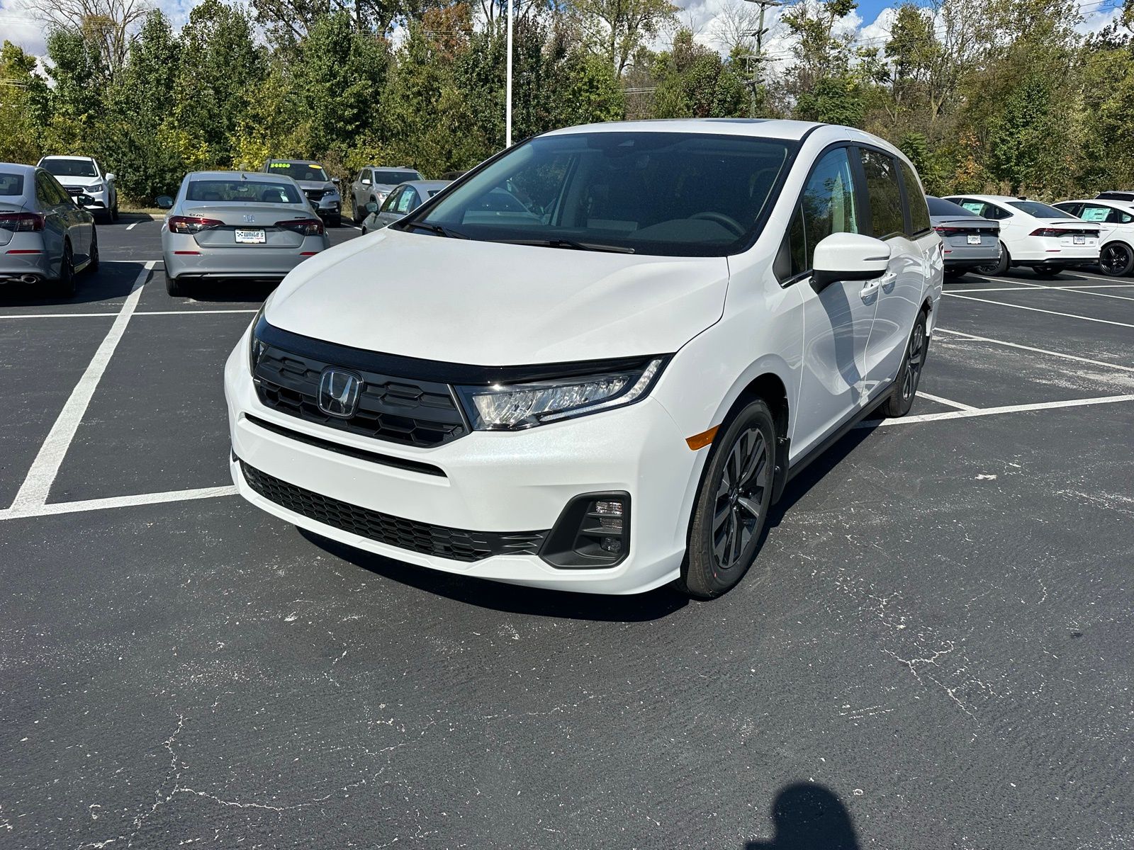 2026 Honda Odyssey EX-L's photo