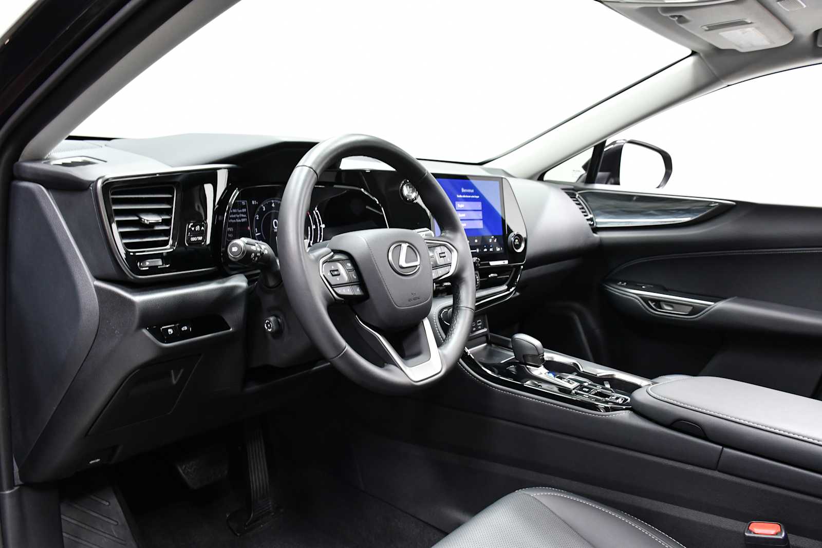 2025 Lexus NX 250 Premium photo 12
