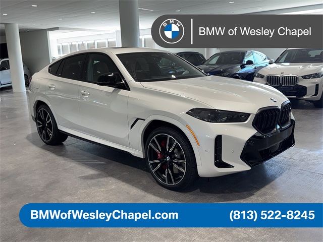 2026 BMW X6 M60i's photo