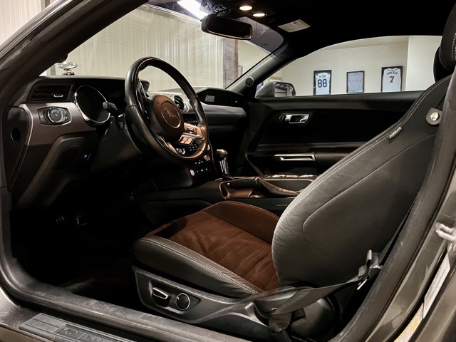 2015 Ford Mustang EcoBoost photo 9