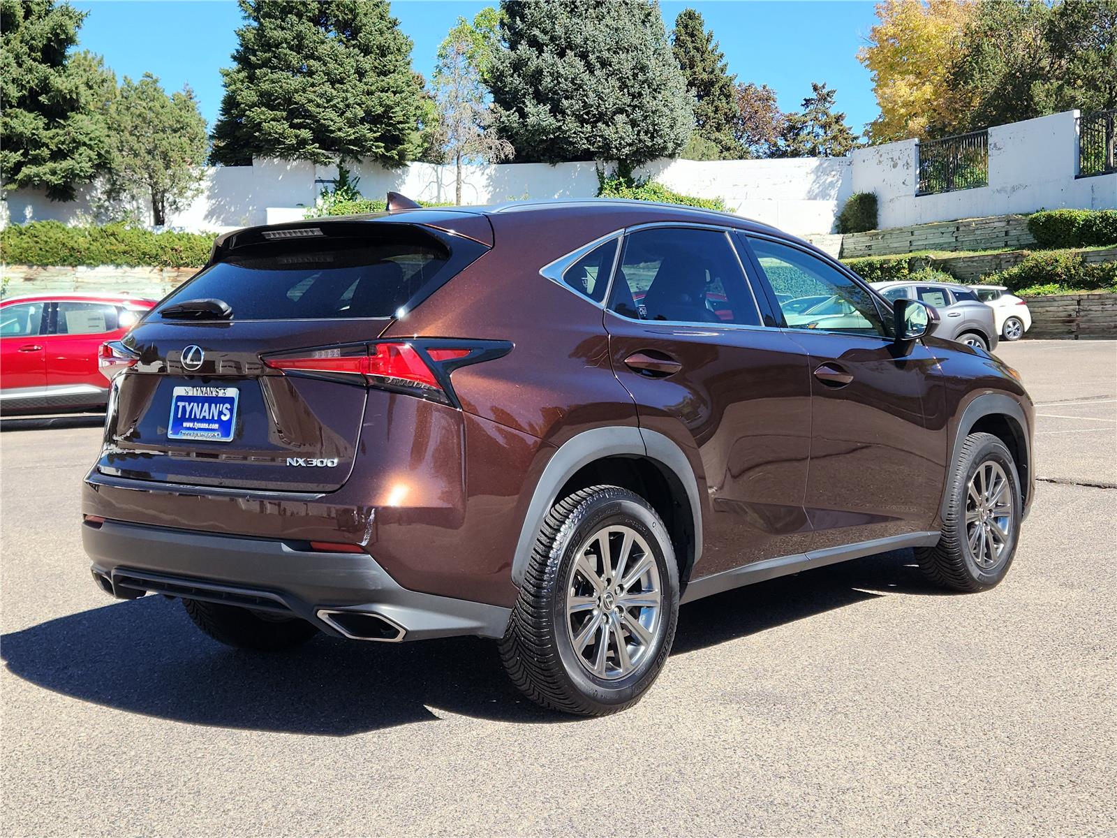 2018 Lexus NX 300 Luxury photo 3