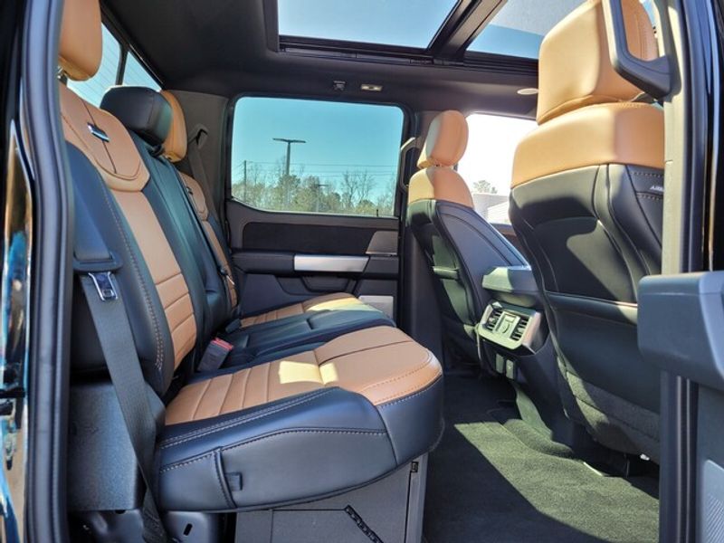 2024 Ford F-250 Platinum photo 10
