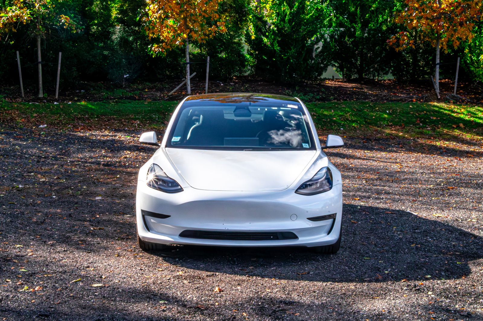 Used 2023 Tesla Model 3 Base with VIN 5YJ3E1EAXPF490495 for sale in Commack, NY