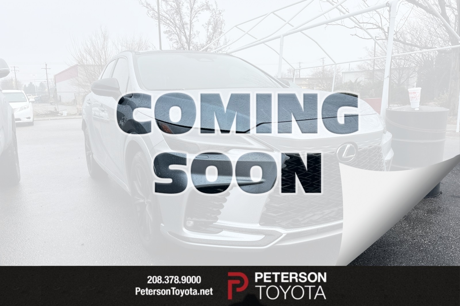 2023 Lexus RX Hybrid 500h's photo