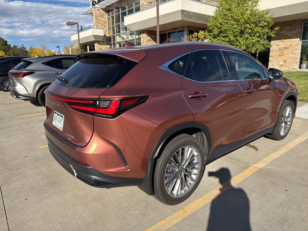 2025 Lexus NX 350h Premium photo 3