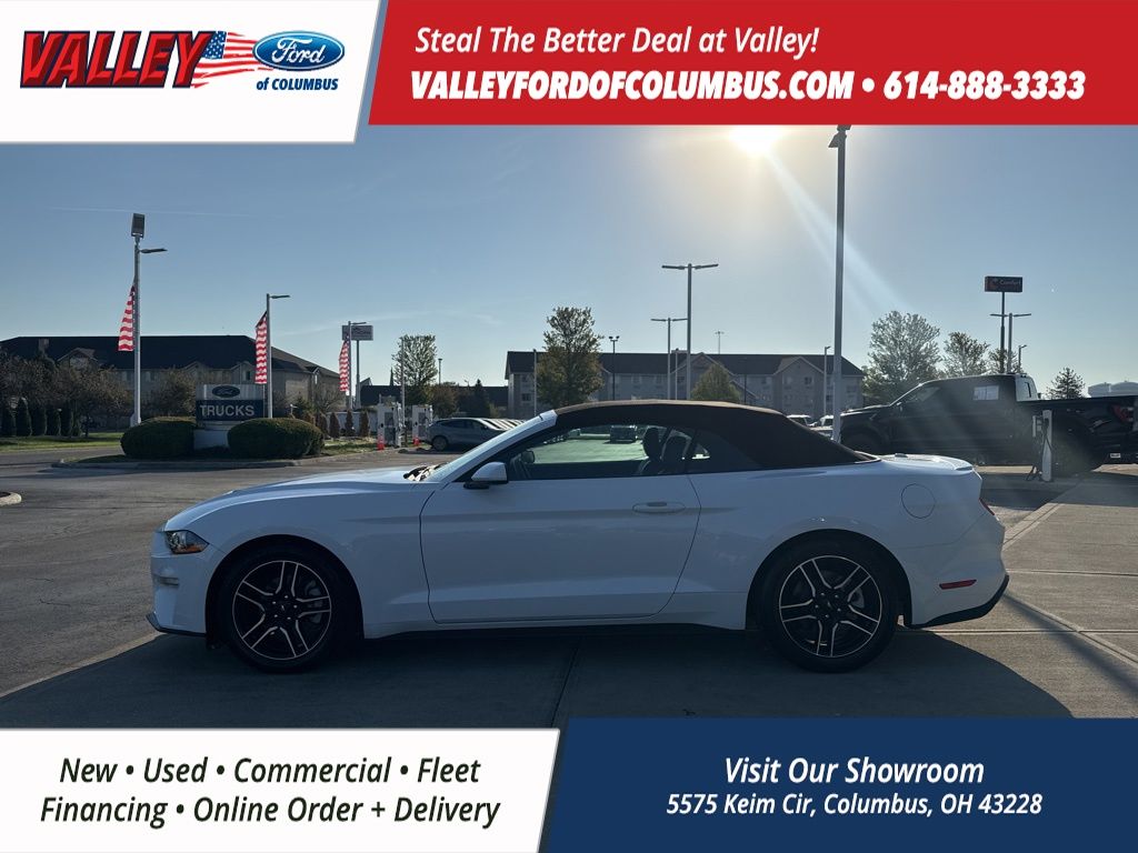 2023 Ford Mustang EcoBoost Premium photo 3