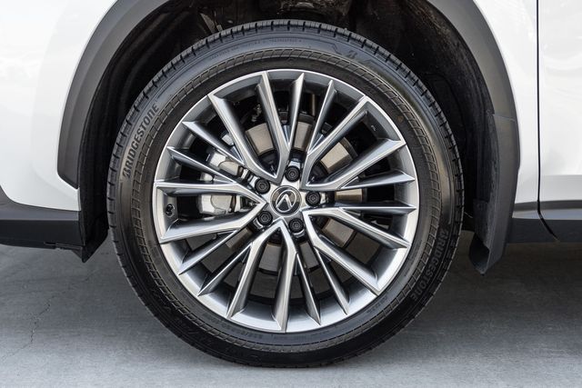 2025 Lexus NX 350h Premium photo 14