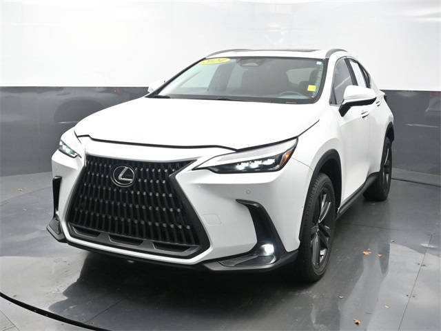 2024 Lexus NX PHEV 450h+'s photo