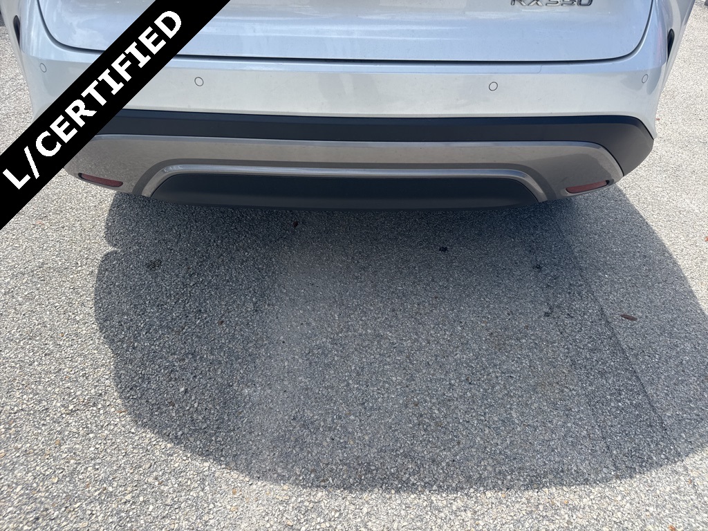 2023 Lexus RX 350 Luxury photo 7