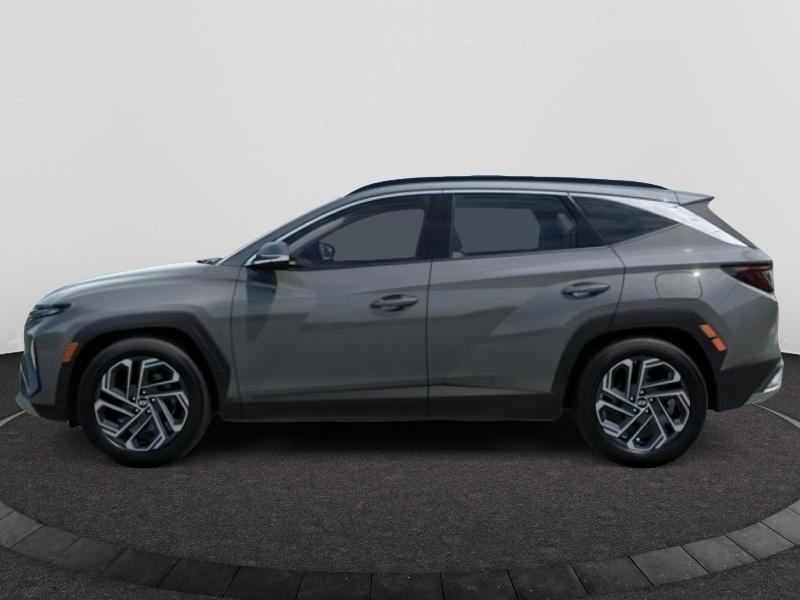 2026 Hyundai Tucson Limited photo 3
