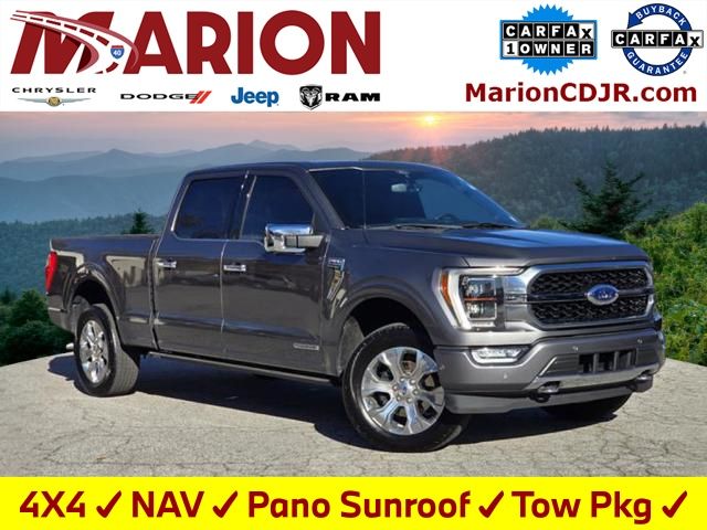 2021 Ford F-150 Platinum's photo