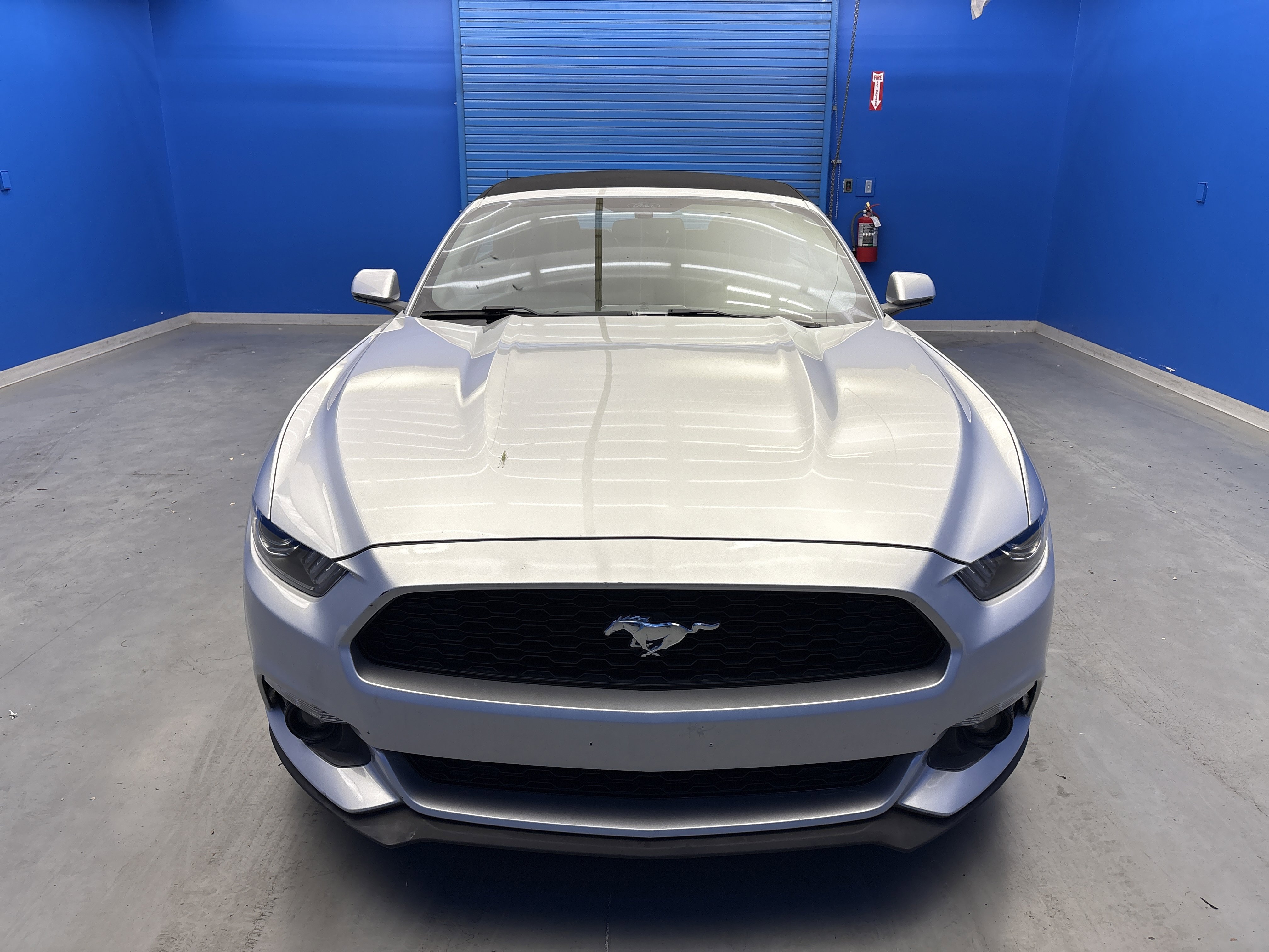 2016 Ford Mustang EcoBoost Premium photo 2