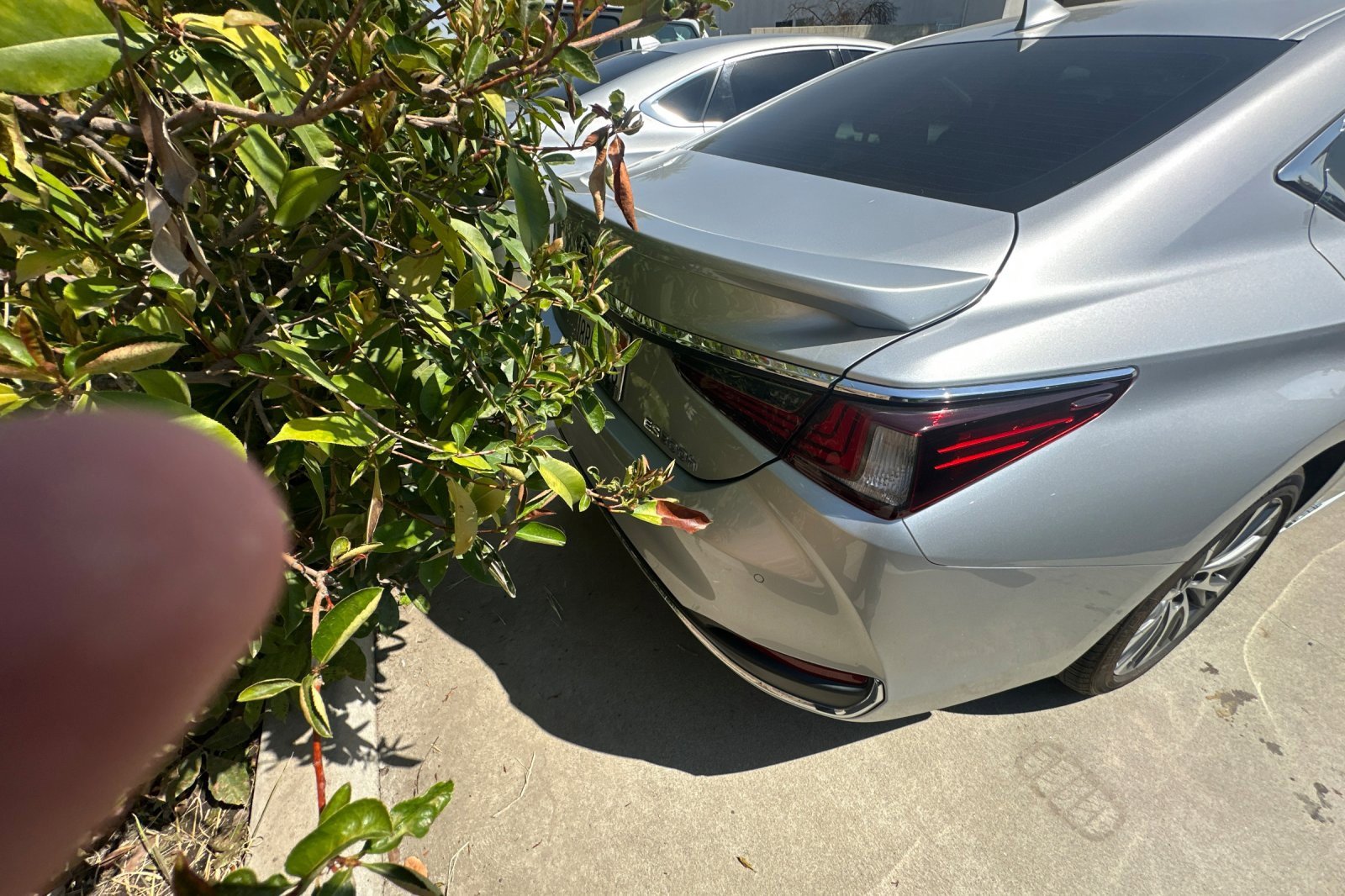 2020 Lexus ES 300h photo 4