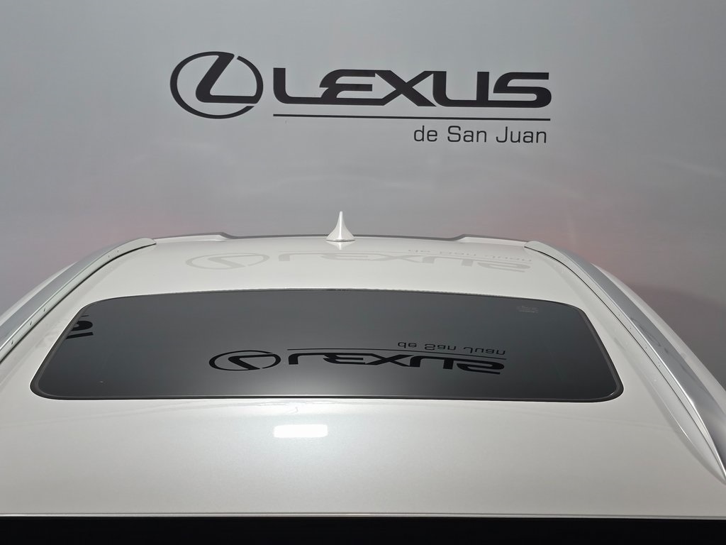 2025 Lexus UX photo 7