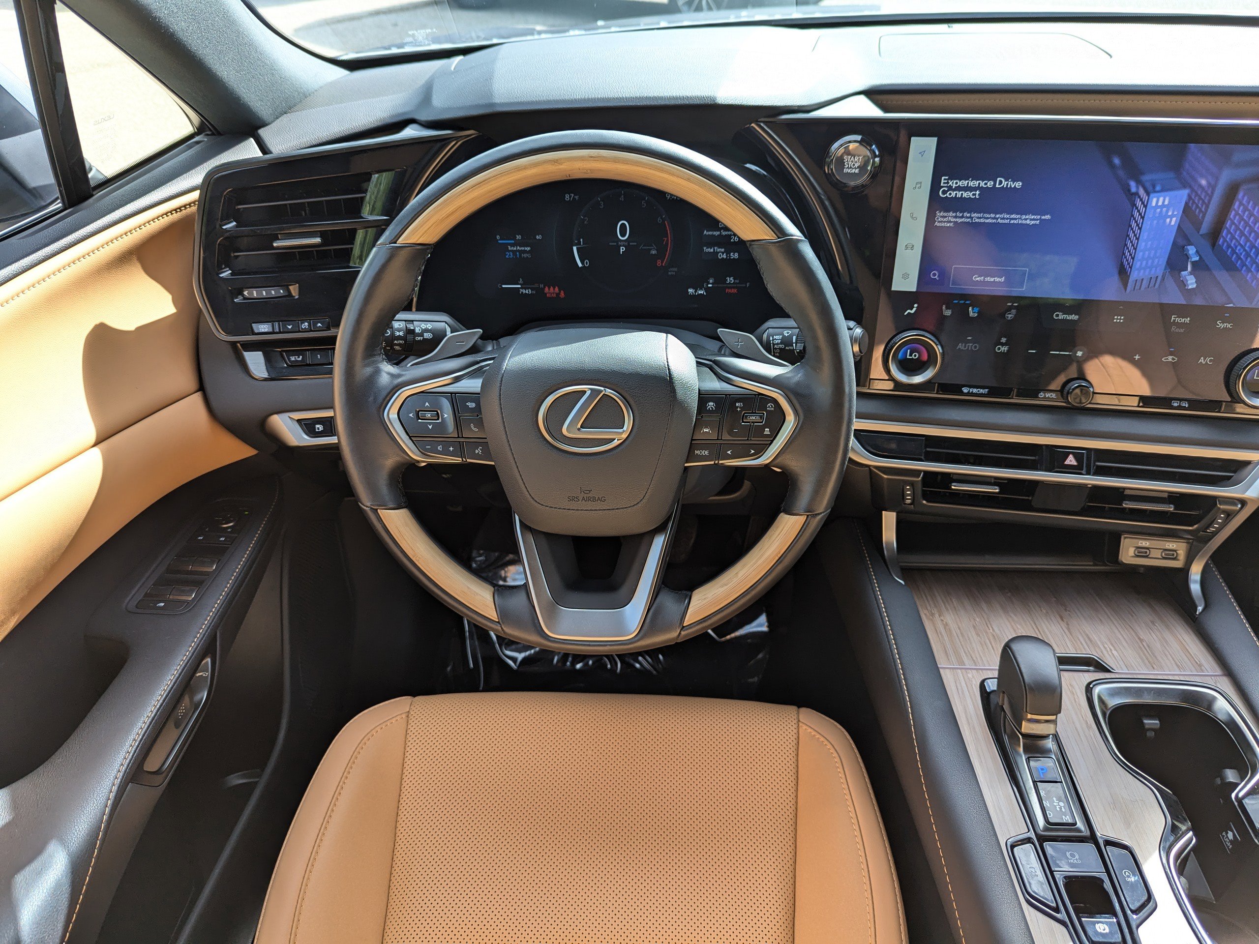 2025 Lexus RX 350 photo 15