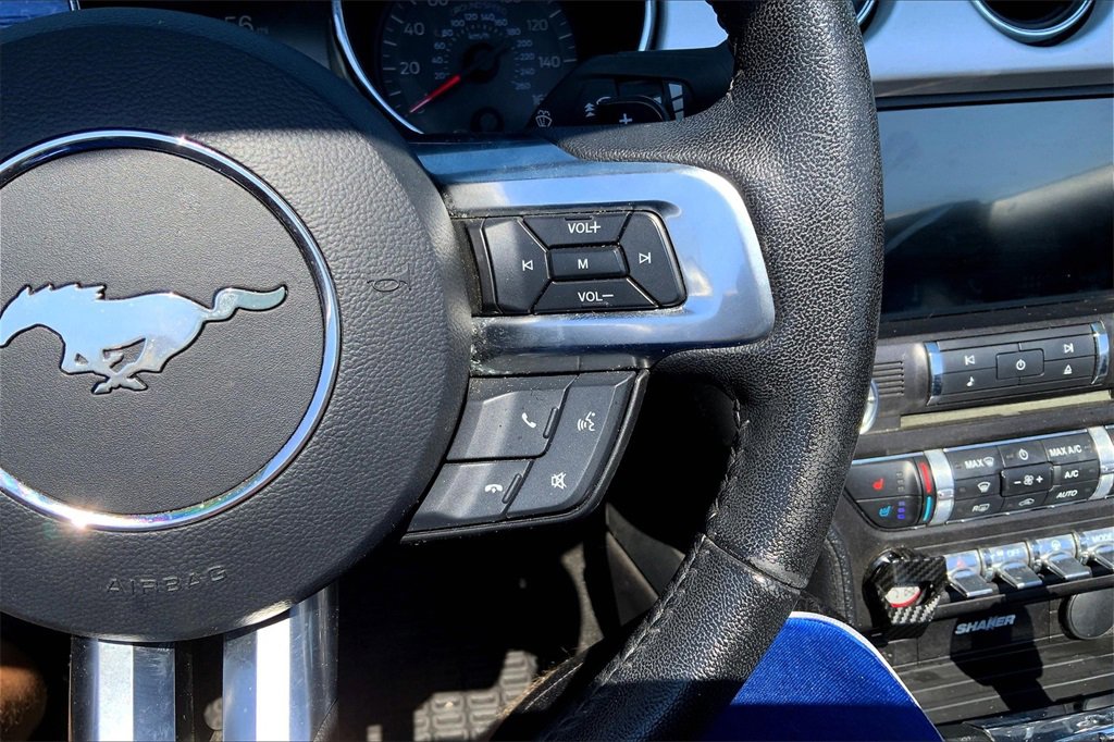 2017 Ford Mustang EcoBoost Premium photo 17