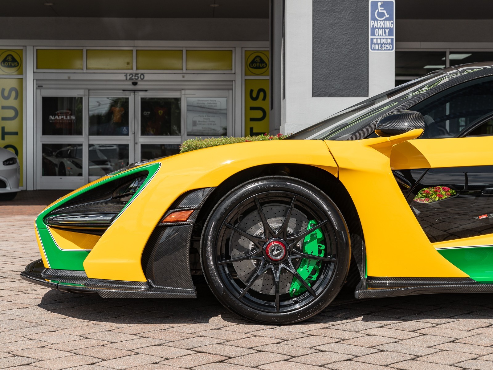 2019 Mclaren SENNA photo 11