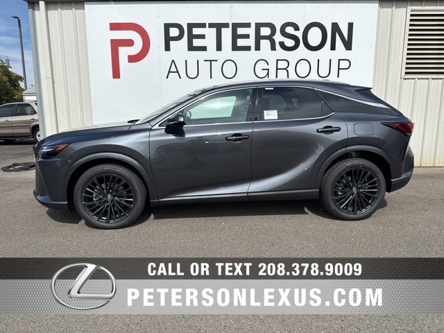 2025 Lexus RX 350 Premium photo 6