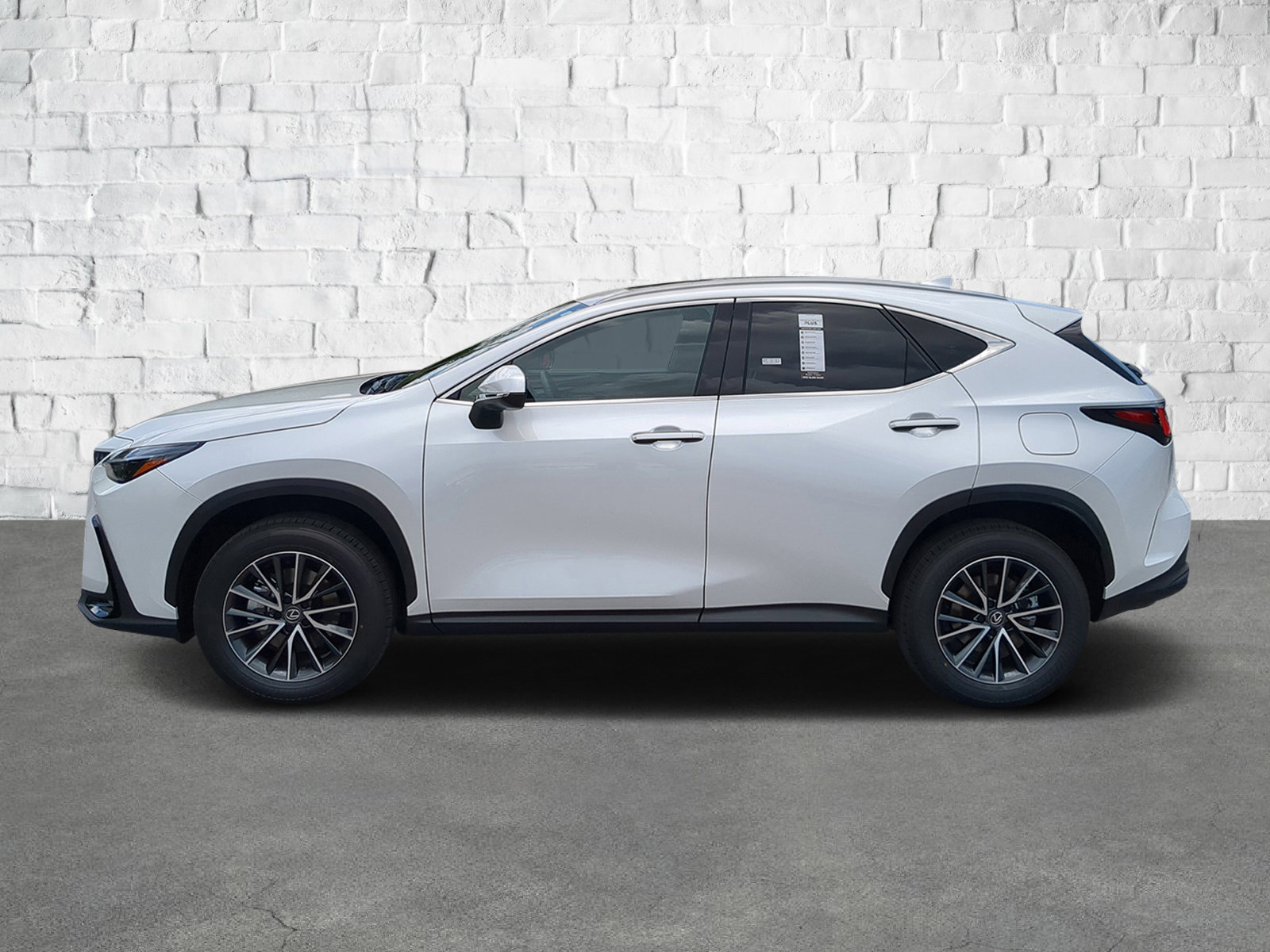 2025 Lexus NX 350h photo 7