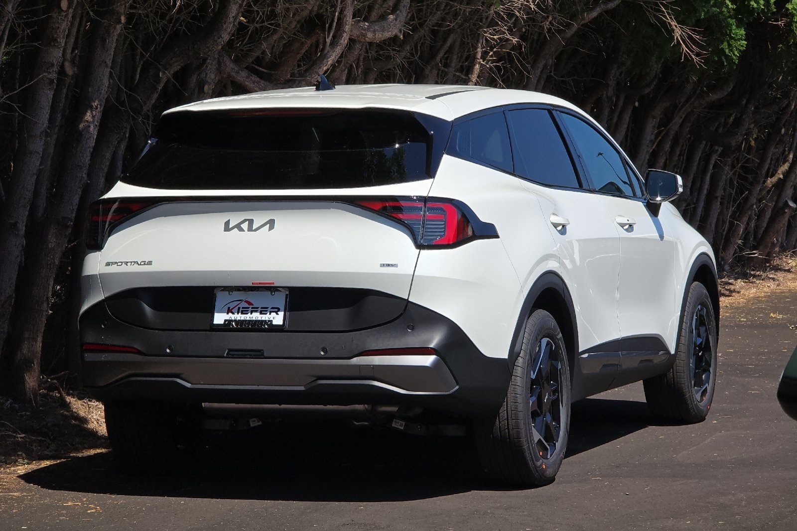 2026 Kia Sportage Hybrid S photo 2