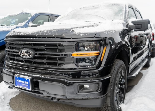 2025 Ford F-150 XLT's photo