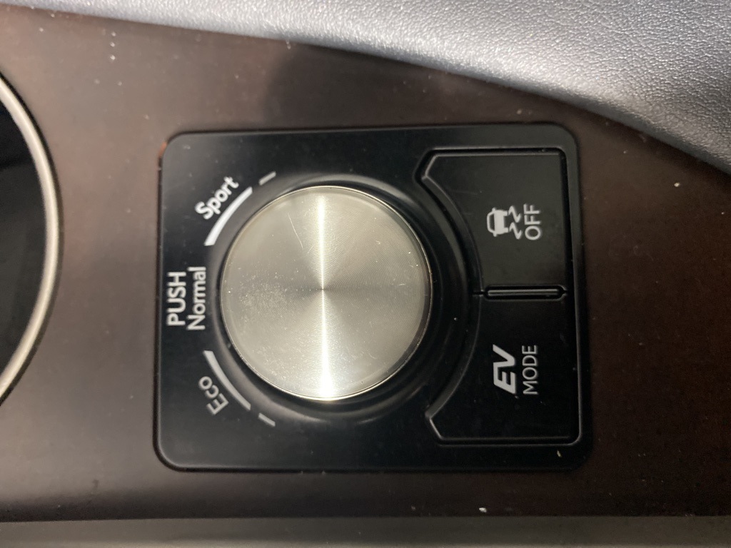 2021 Lexus RX 450h photo 21
