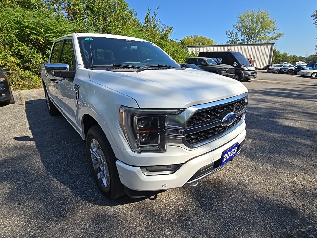 2023 Ford F-150 Platinum photo 11