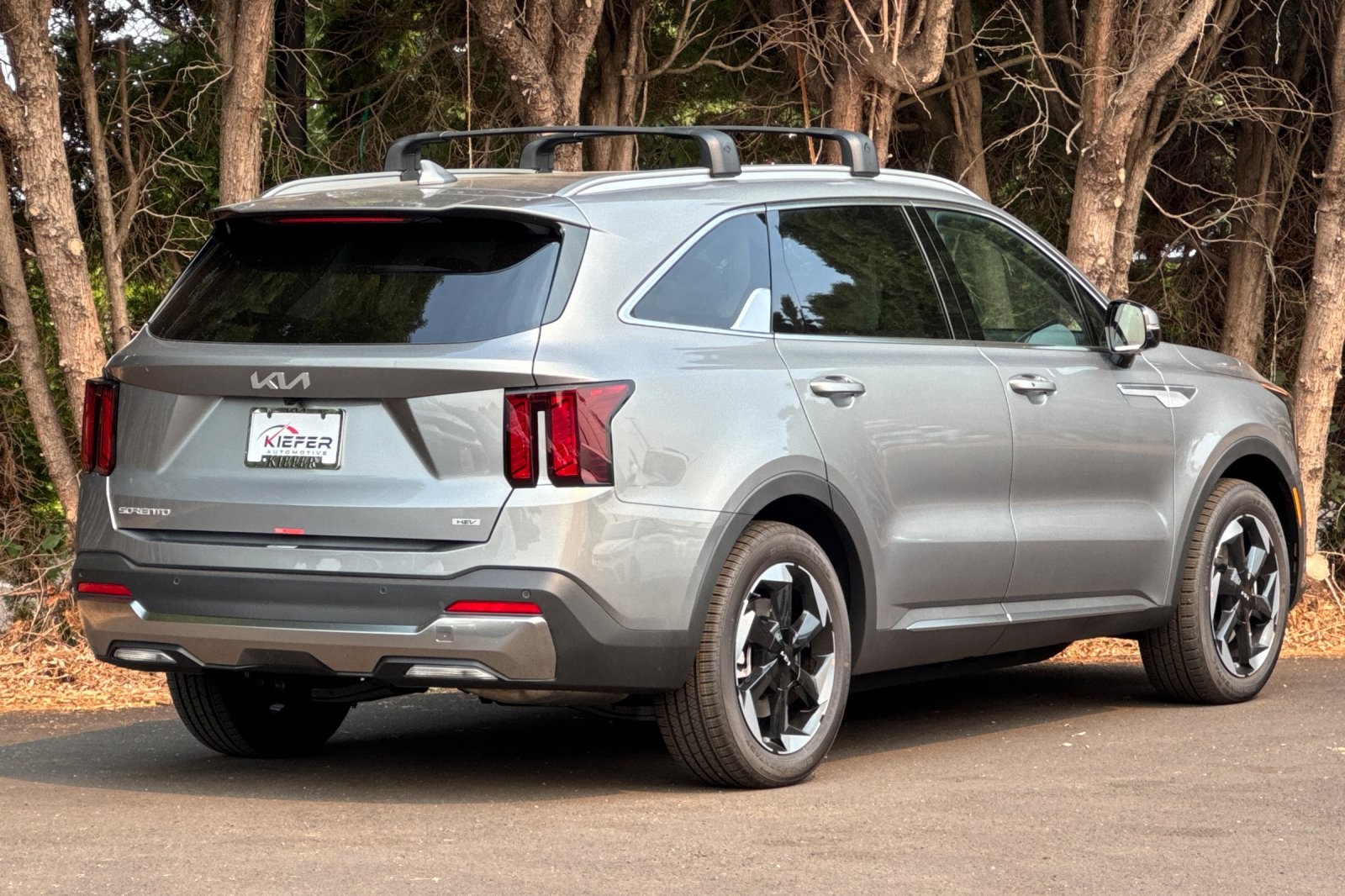 2025 Kia Sorento Hybrid EX photo 2