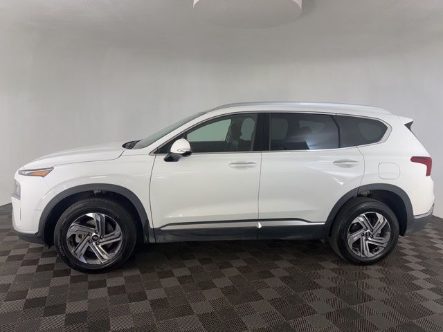 2023 Hyundai Santa Fe SEL Premium photo 4
