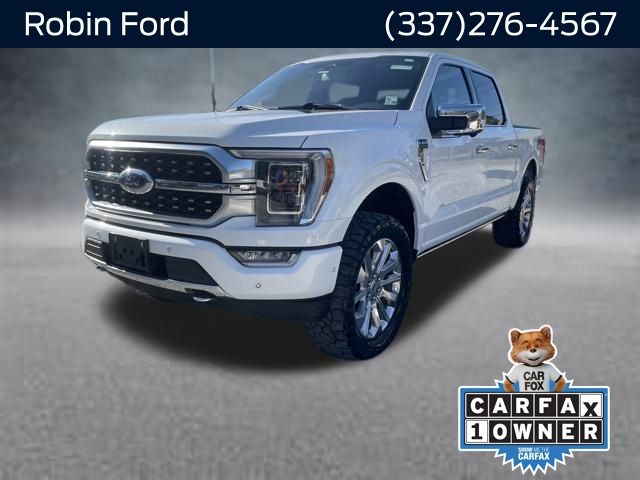 2023 Ford F-150 Platinum's photo