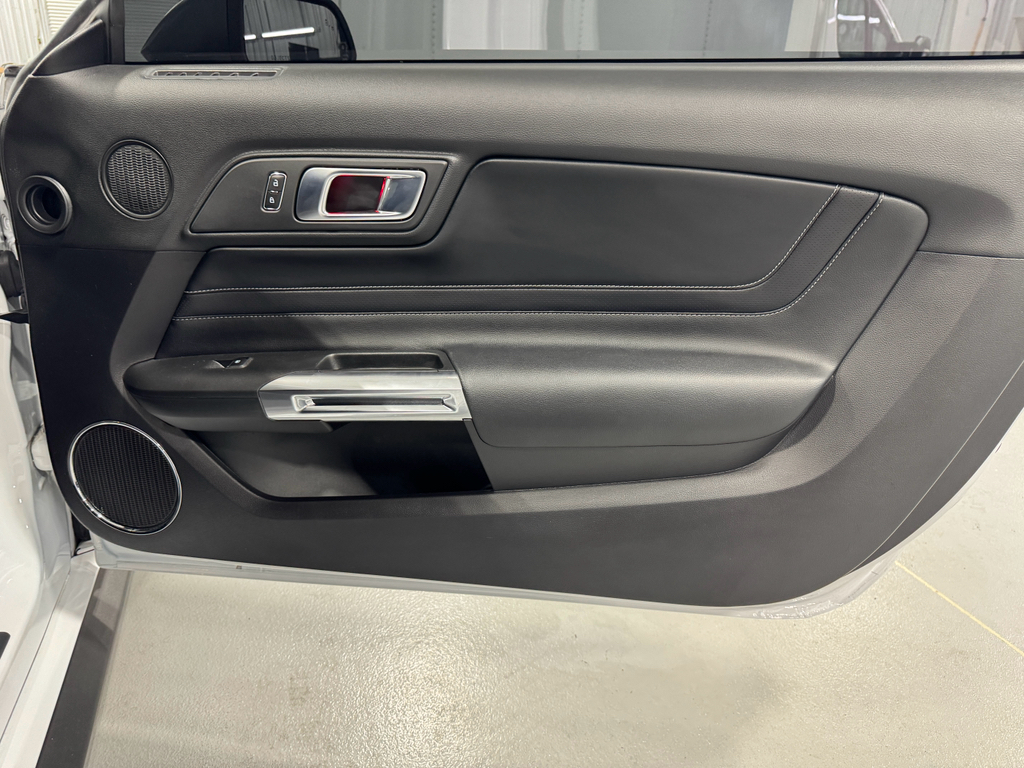 2023 Ford Mustang Mach 1 photo 15