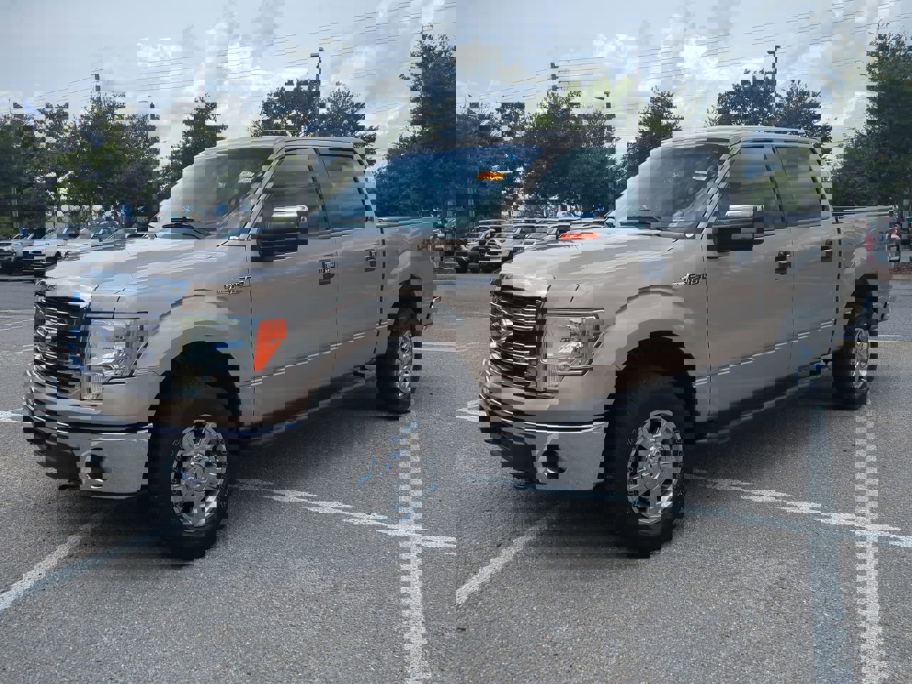 Used 2013 Ford F-150 XLT with VIN 1FTFW1EF4DFD26138 for sale in Gainesville, FL
