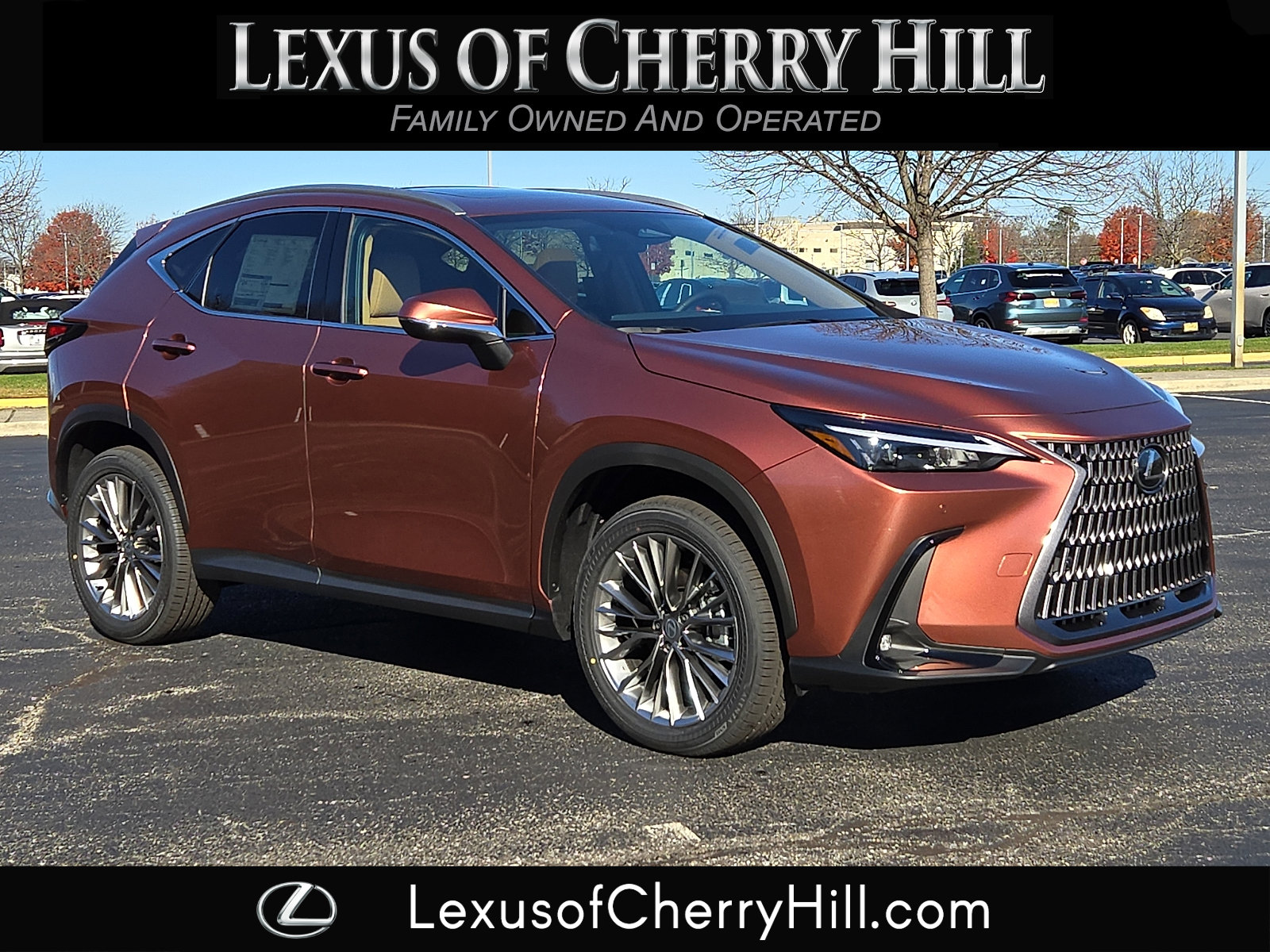 2026 Lexus NX 350's photo