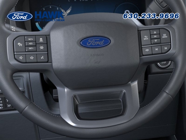 2025 FORD F-150 - Image 12